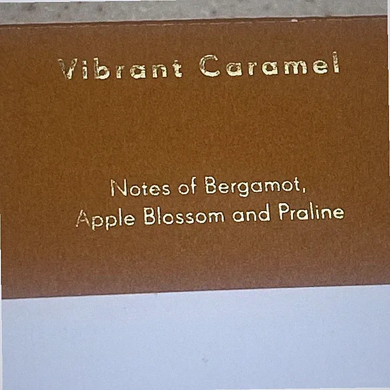 ZARA Vibrant Caramel 90ml Eau de Parfum Fragrance Women Perfume 3.04 oz NEW